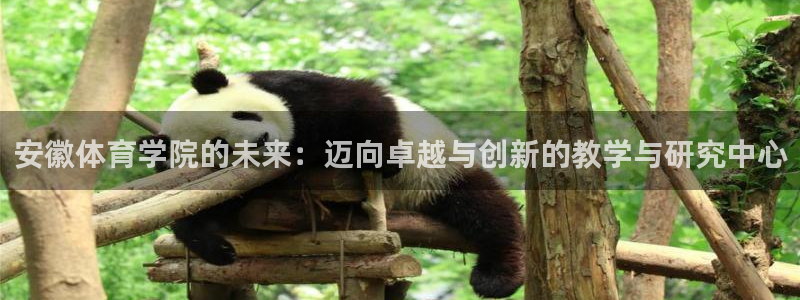 意昂平台登陆
