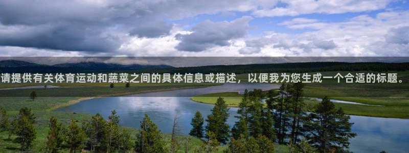 杏宇官网入口