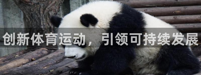 杏宇2代理注册