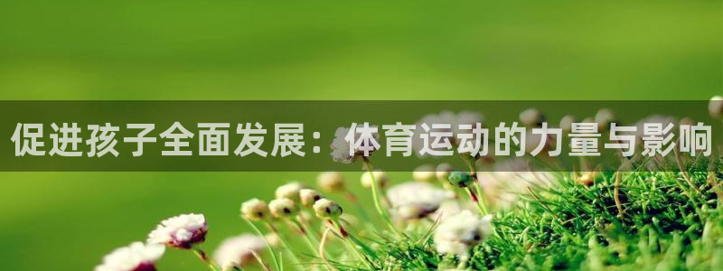 德国意昂集团