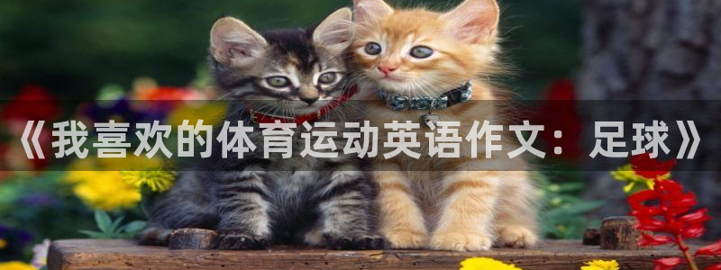 杏宇招商