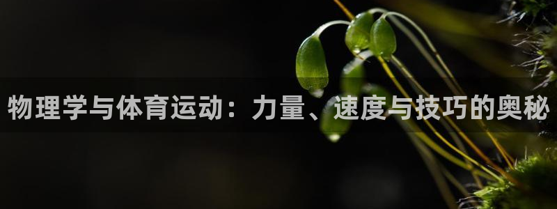 杏宇3注册