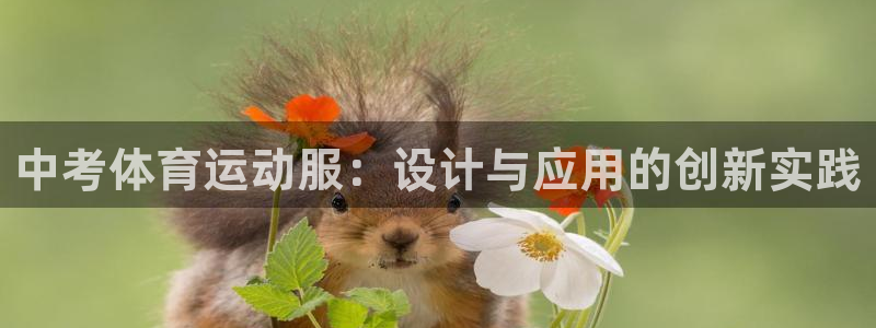 杏宇2代理注册