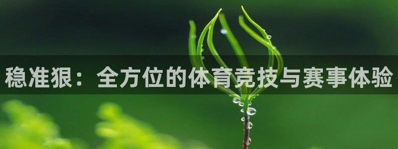 杏宇体育官网注册