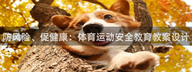 意昂体育官网