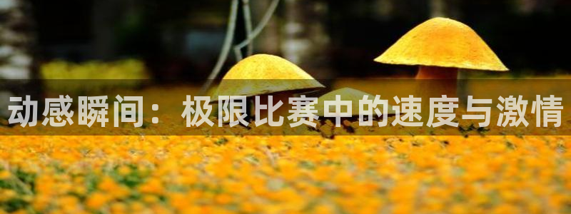 东莞市意昂电子科技有限公司