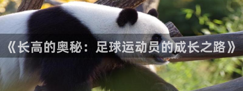 无锡意昂