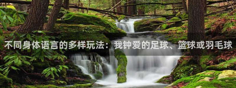 东莞市杏宇电子科技有限公司