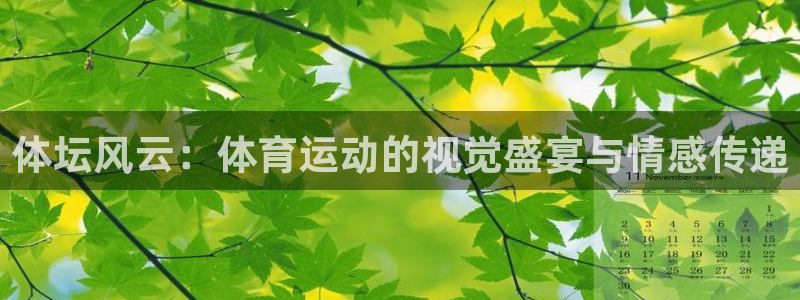 杏宇官网