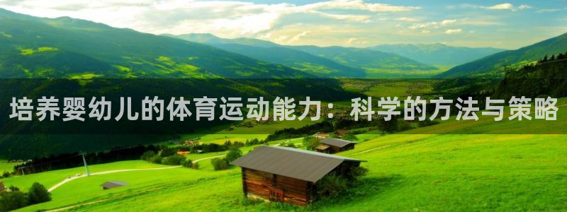 杏宇代理注册官网入口