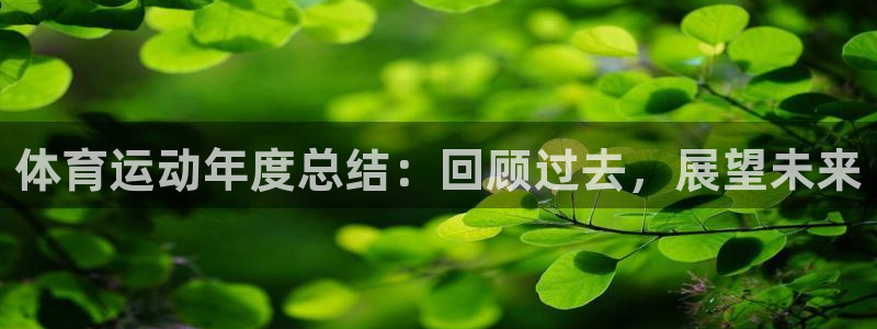 杏宇体育官网注册