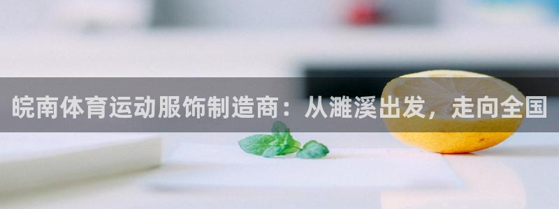 杏宇体育网页版入口