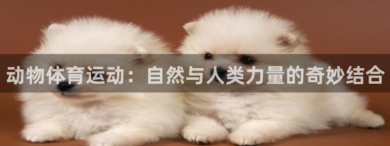 杏宇