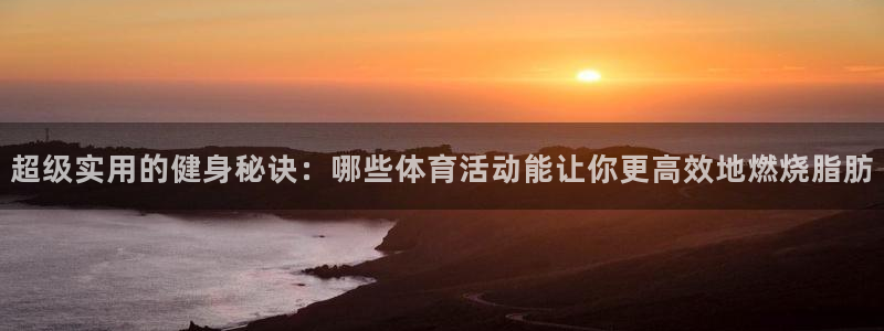 杏宇体育4